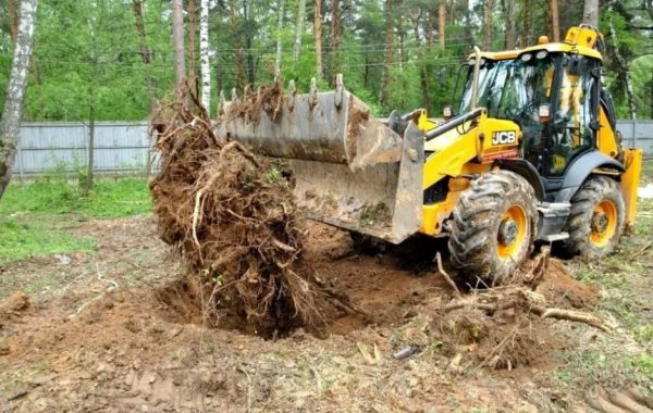 Удаление пней и корчевание вручную и со спецтехникой - Кострома, цены, предложения специалистов