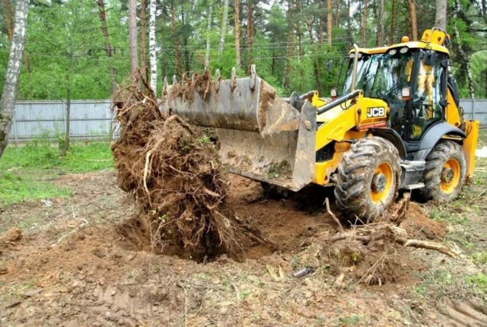 Удаление пней и корчевание вручную и со спецтехникой стоимость услуг и где заказать - Кострома