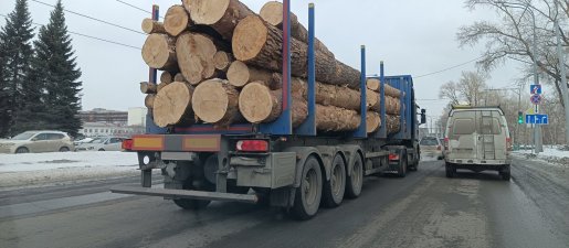 Поиск транспорта для перевозки леса, бревен и кругляка стоимость услуг и где заказать - Кострома